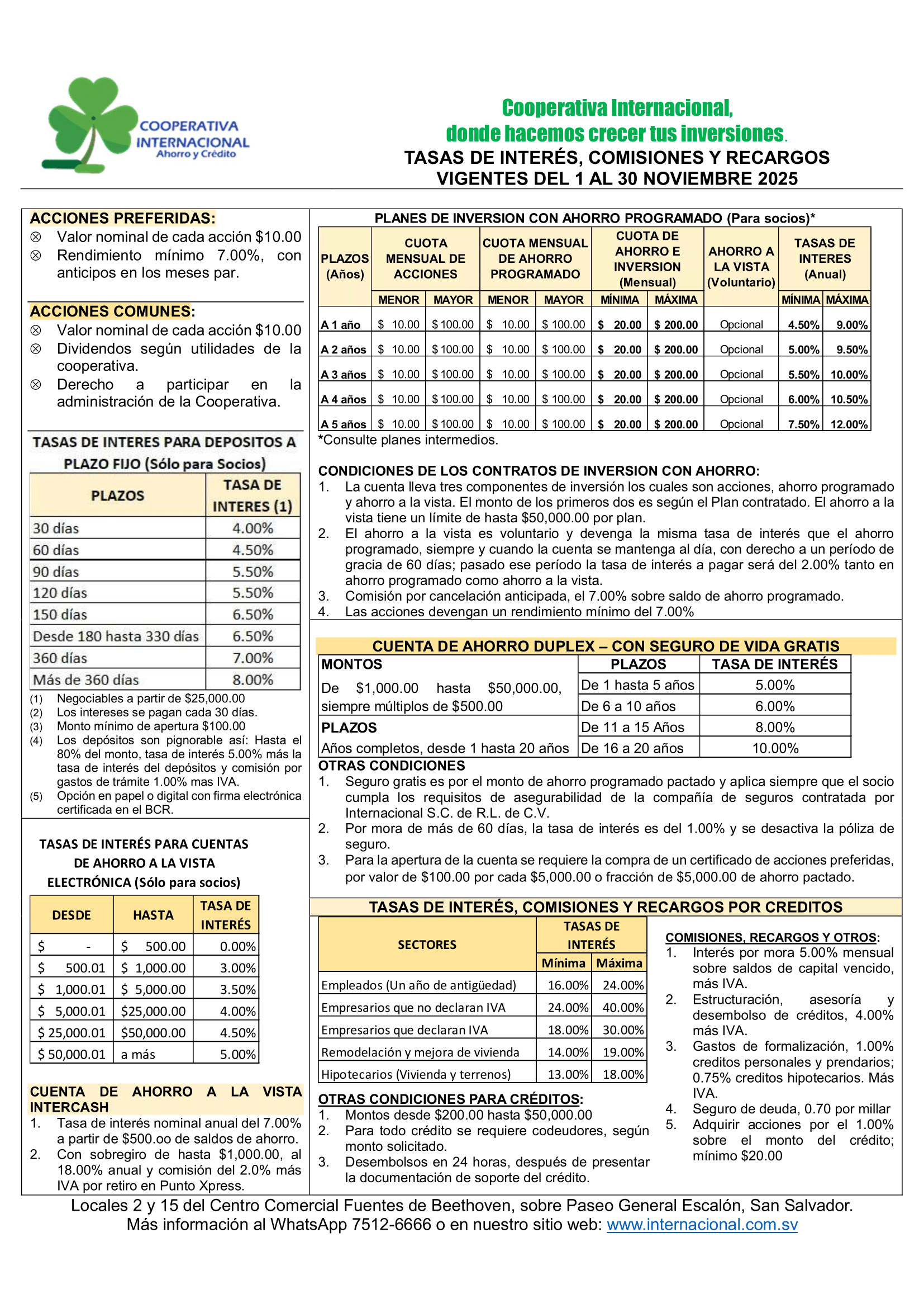Vista previa del PDF